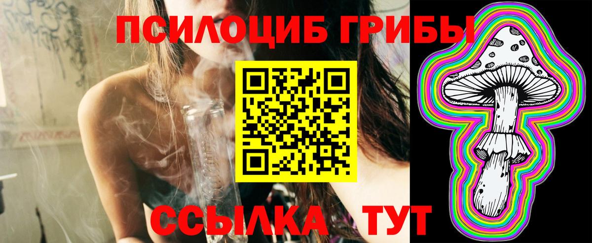 Тосно  магазин    Вход с VPN  Галлюциногенные грибы Magic Shrooms 