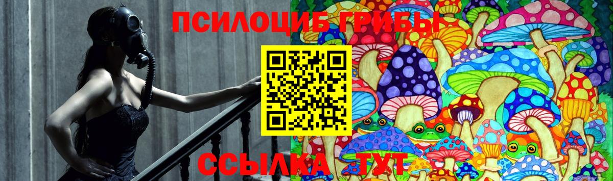 Галлюциногенные грибы GOLDEN TEACHER Тосно